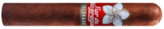 Сигары Joya de Nicaragua Flor De Nicaragua Robusto