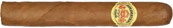 Сигары Diplomaticos Cancilleres вид 1