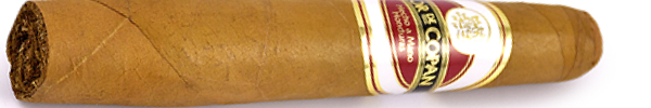 Сигары Flor de Copan Gordito вид 1