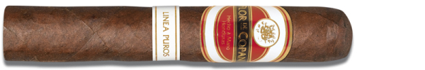 Сигары Flor de Copan Linea Puros Robusto вид 1