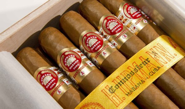 Сигары  H. Upmann Connossieur A вид 2