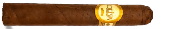 Сигары Oliva Serie G Petit Corona вид 1
