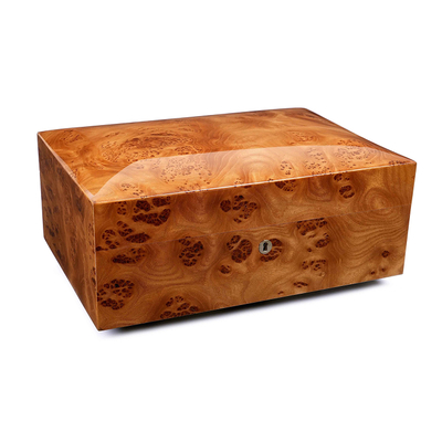 Хьюмидор Gentili Dome Top на 70 сигар, Вяз SV50-Elm Dome Top вид 1