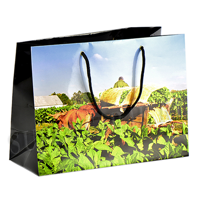 Пакет подарочный "Vega de tabaco" на 10 сигар вид 1