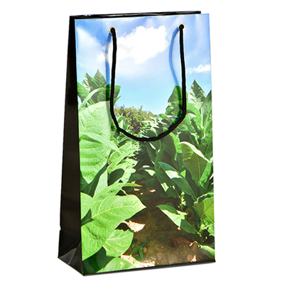 Пакет подарочный "Vega de tabaco" на 5 сигар вид 1
