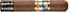 Сигары Cohiba Siglo de Oro Year of the Rabbit вид 1
