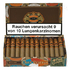 Сигары PDR A. Flores 1975 Gran Reserva Corojo Robusto вид 2